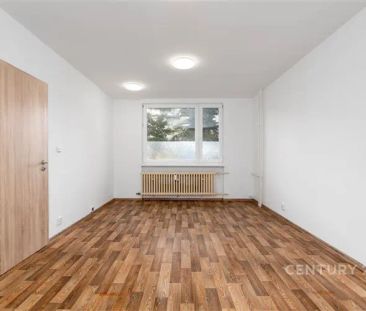 Pronájem bytu 1+1, Děčín - Staré Město - Photo 1