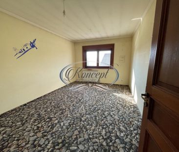 VILA MODERNA-OTOPENI-PET FRIENDLY-GRADINA - Photo 1
