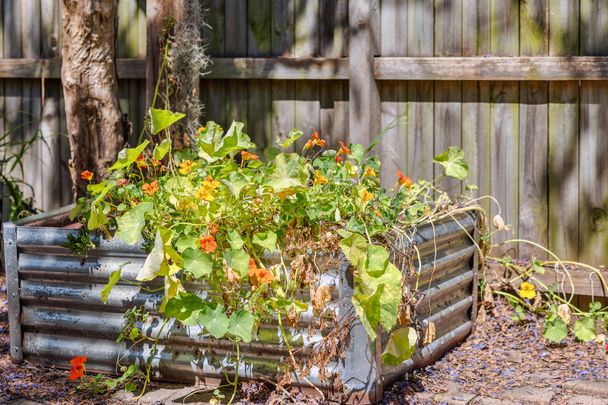 15 O'Neill Street, Lilyfield NSW 2040 - House For Rent | Domain - Photo 1