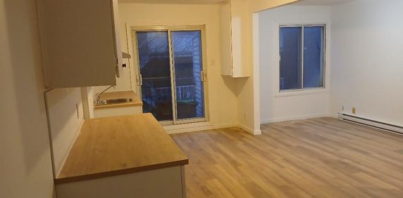 5 1/2 à proximité du métro Papineau - Photo 2