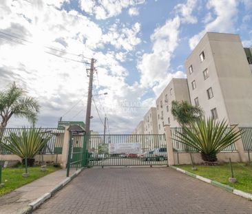 Apartamento com 2 quartos e 40m² para alugar em Restinga, Porto Ale... - Foto 5