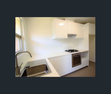 Updated 2 bedroom unit - Photo 4