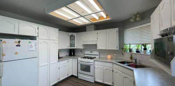 Full House newly renovated on 1/2 acre lot - Photo 2