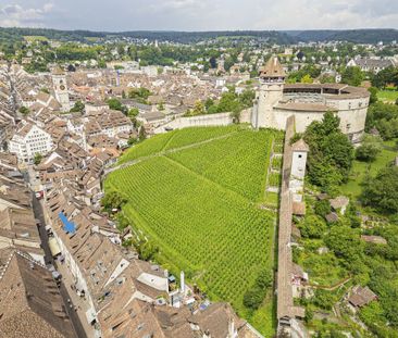 Zentrale Wohnung in der Altstadt von Schaffhausen - Foto 3