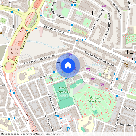 Joao Frederico ludovice, Lisboa