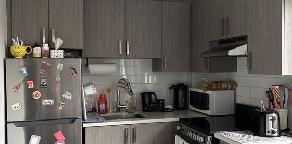 Appartement 1 Chambre - Village - Photo 2