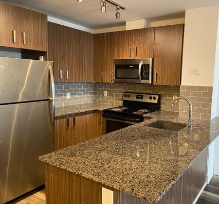 For Lease - 11611 Yonge Street Unit# 218, Richmond Hill, Ontario - Photo 5