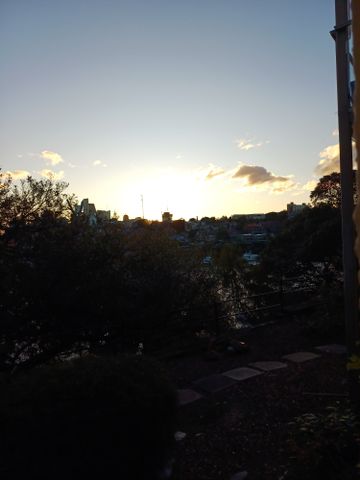 Cremorne Point - Photo 4