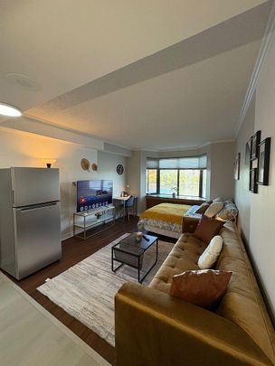 Furnished studio apartments available close to University of Ottawa - Photo 1