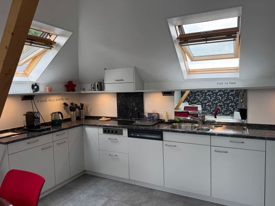 Einmalige Gelegenheit - Lichtdurchflutete Wohnung mit privater Dachterrasse über Zürich - Foto 1