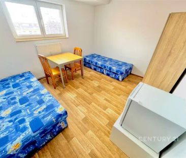 Pronájem ubytování vhodného pro studenty - Fotografie 4