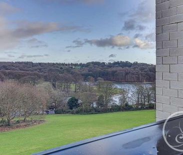 Lake View Court, Leeds, LS8 - Photo 4