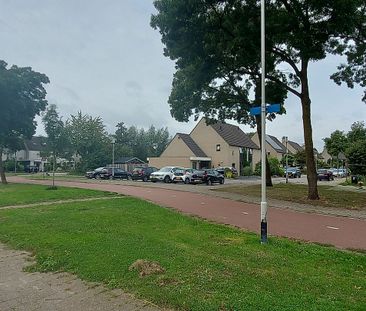 Blauwvoet 4 - Foto 1