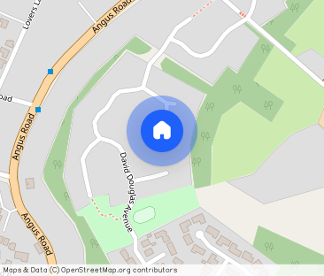 David Douglas Avenue, Scone - Photo 1