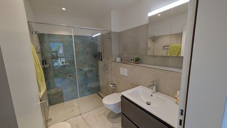 4½ Zimmer-Wohnung in Goldau (SZ), möbliert, auf Zeit - Photo 5