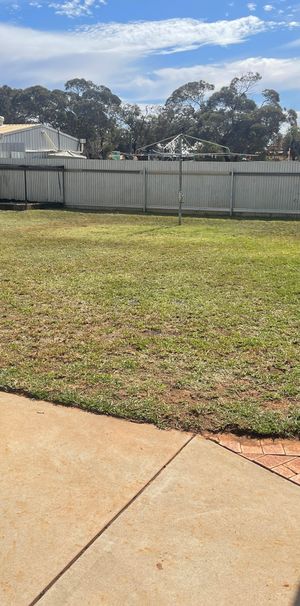 Huge property in quiet street. - Photo 1