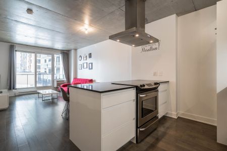 Condo for rent, Montréal (Le Sud-Ouest) - Photo 3