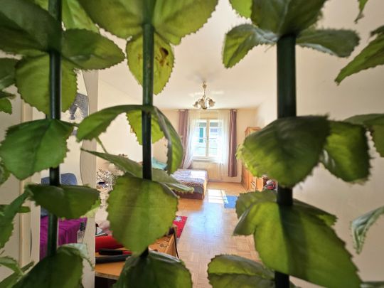 Single-Hit nächst FH-Joanneum und Schloss-Eggenberg... - Photo 1