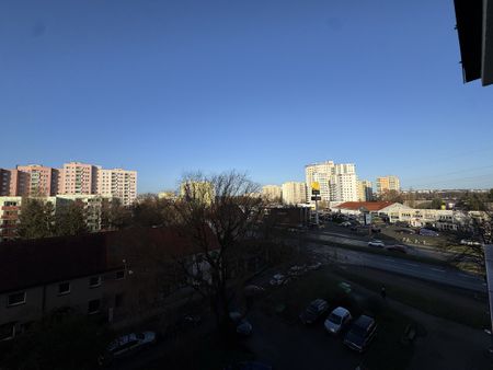 mieszkanie na wynajem - Szczecin, Niebuszewo, ul. Pasterska - Photo 2