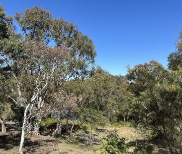 Goolabri Country Resort - Photo 3
