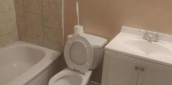 For Lease - 176 Featherstone Avenue Unit# Bsmt, Markham, Ontario - Photo 2