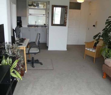 ORIENTAL BAY: ONE BEDROOM APT - Photo 1