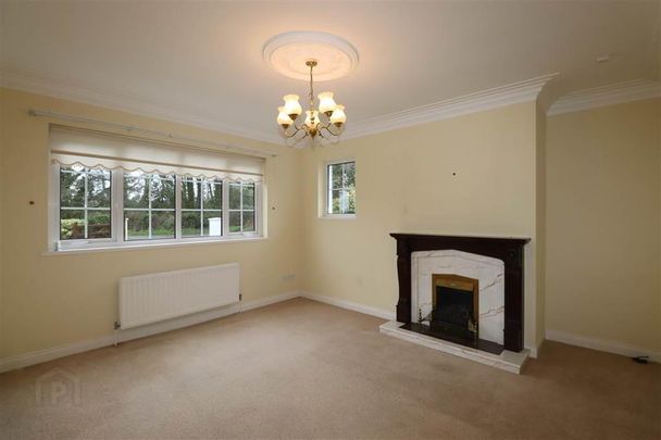 32 Ballyworfy Road, Hillsborough, BT26 6LR - Photo 1