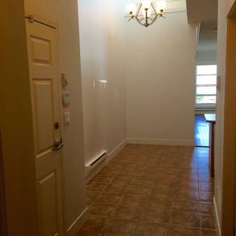 1 Bedroom apartment for rent prime location 49th and Main St - Photo 4