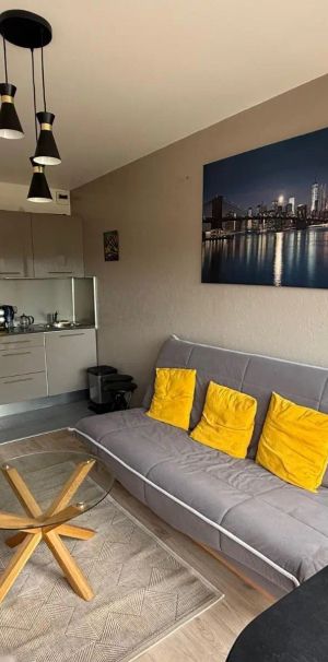 Appartement à louer 1 pièce 22.52m² - Photo 1