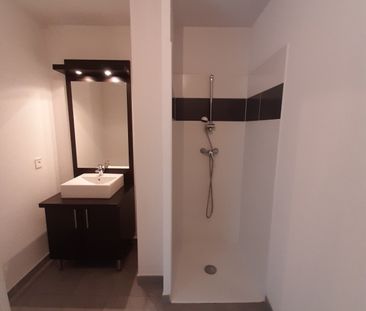 Location Appartement 1 pièce 25m² LAUNAGUET 31140 - Photo 3