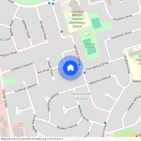 153 Cherrywood Drive Unit# Lower, Newmarket