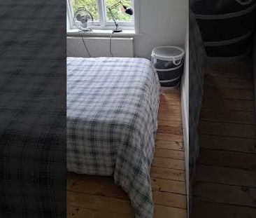 Room in a Shared House, Madrid Rd, SW13 - Photo 4