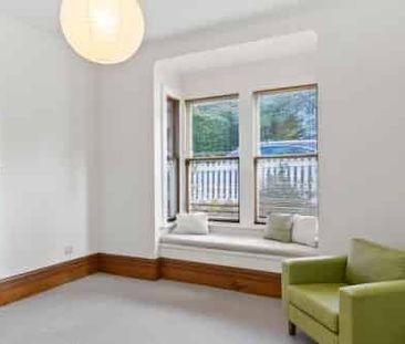 Cutie in Brooklyn - Photo 5