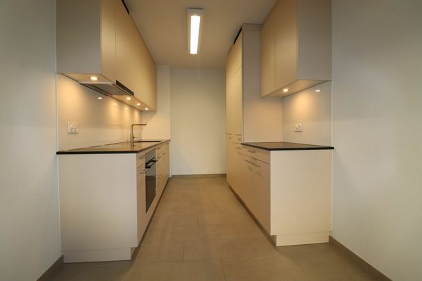 Erstvermietung nach Teilsanierung - gemütliche 4 1/2-Zimmerwohnung in Basel - Foto 1