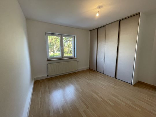 Location Appartement MICHELBACH LE BAS 775 € CC - Photo 1