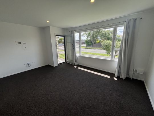 55 Windsor Street, Terrace End, Palmerston North - Photo 1