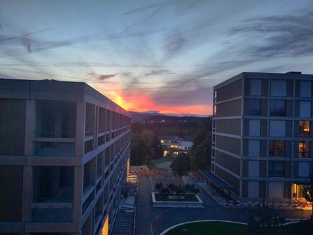 41/2-ROOM APARTMENT IN BERN - FELSENAU/TIEFENAU, FURNISHED, TEMPORARY - Foto 4