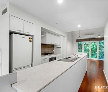8 Bluebell Street, O'Connor ACT 2602 - House For Rent | Domain - Photo 1