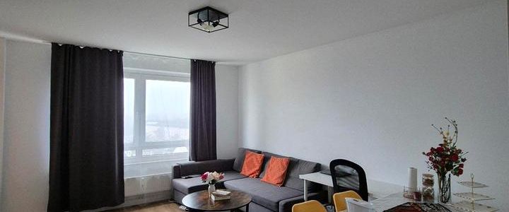 Möblierte 2-Zimmer-Wohnung mit toller Aussicht in Schwanheim - Photo 1