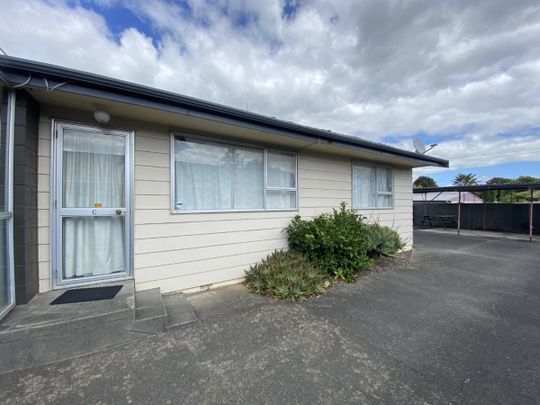 178C Ruahine Street, Roslyn, Palmerston North - Photo 1
