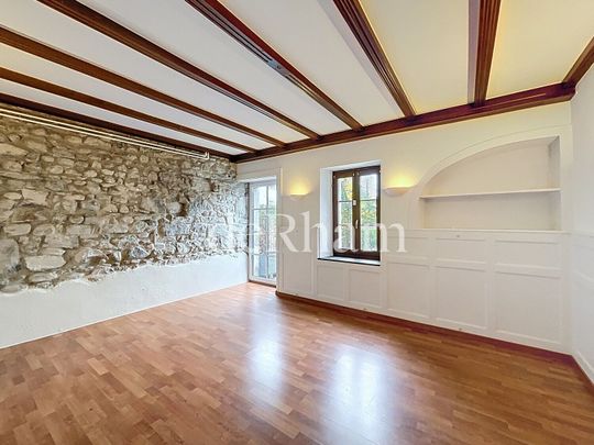 Splendid 4.5 room apartment on the ground floor with private terrace - Photo 1