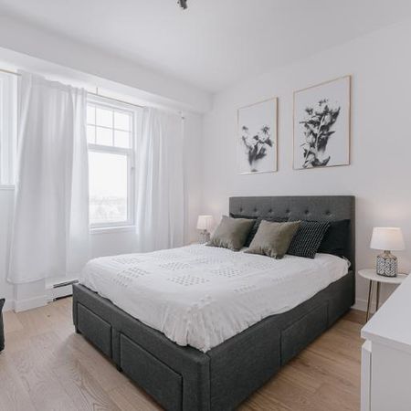 Appartement 3 ½ à louer Montcalm / Saint-Sacrement juillet 2026 - Photo 3