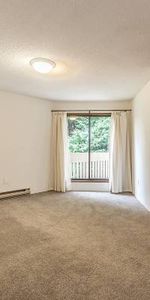 Quadra Woods - 1 Bedroom - Available February 1st - Photo 3