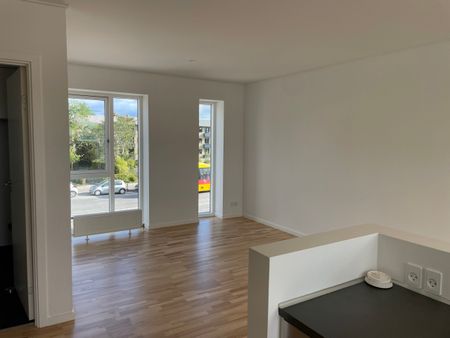 Fin lejlighed med tagterrasse midt i Glostrup - Foto 5