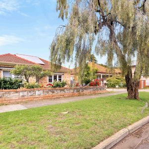 Sit Back, Relax and Enjoy - Photo 2