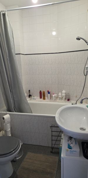 Location Appartement 1 pièce 20m² CLERMONT FERRAND 63000 - Photo 1