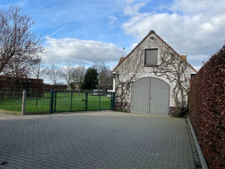 VILLA + kleine weide - Photo 4