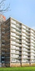 Antwerpenstraat, 4826 Breda, Nederland - Photo 4