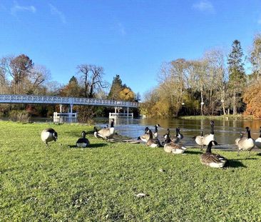 2 bedroom apartment to rent - Photo 6