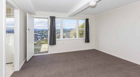 Charming studio unit available in Melrose, Wellington for $350.00 per week. - Photo 4